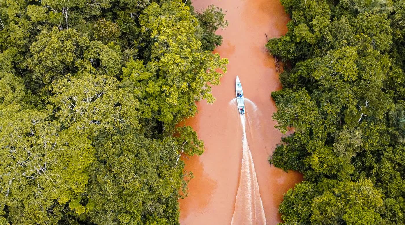 Boat on a river through dense rainforest